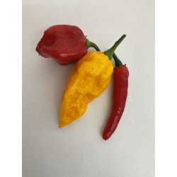 Tris Peperoncini Hot&Spicy