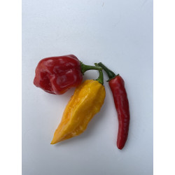 Hortygames Tris Peperoncini Hot&Spicy