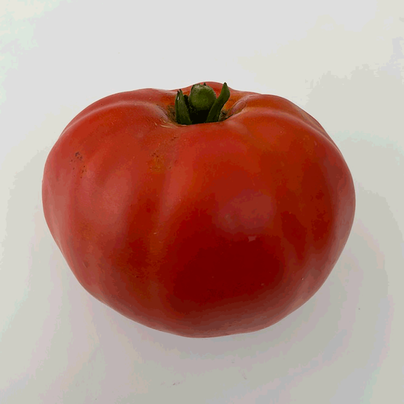 Pomodoro Carmello