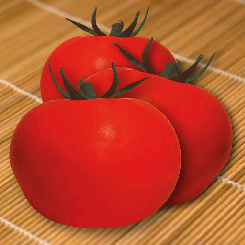 Pomodoro Montfavet