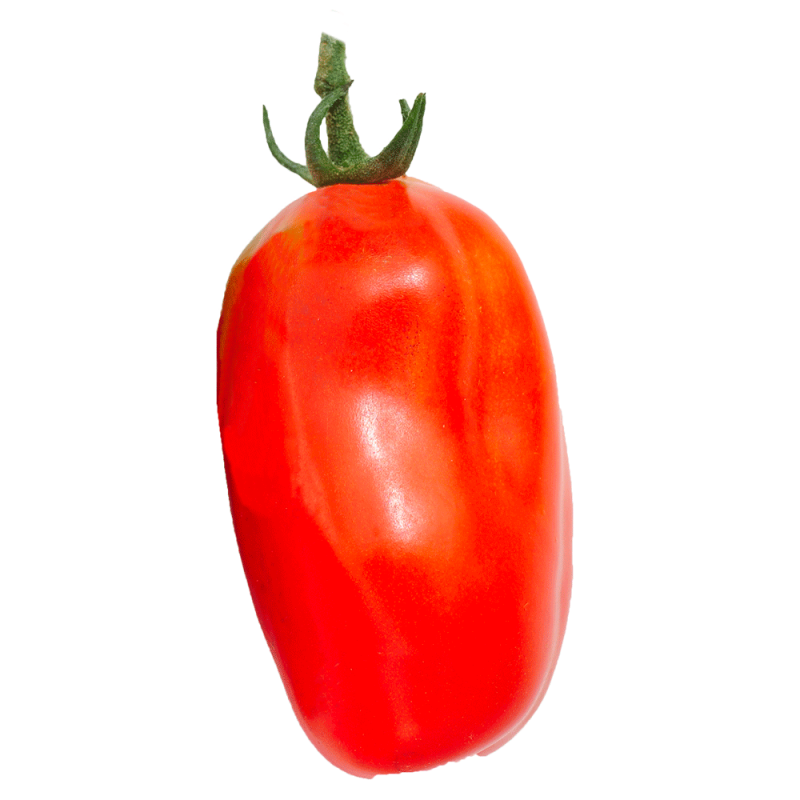 Pomodoro Adamo