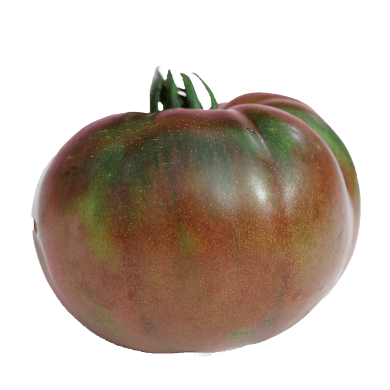 Pomodoro Black Krim